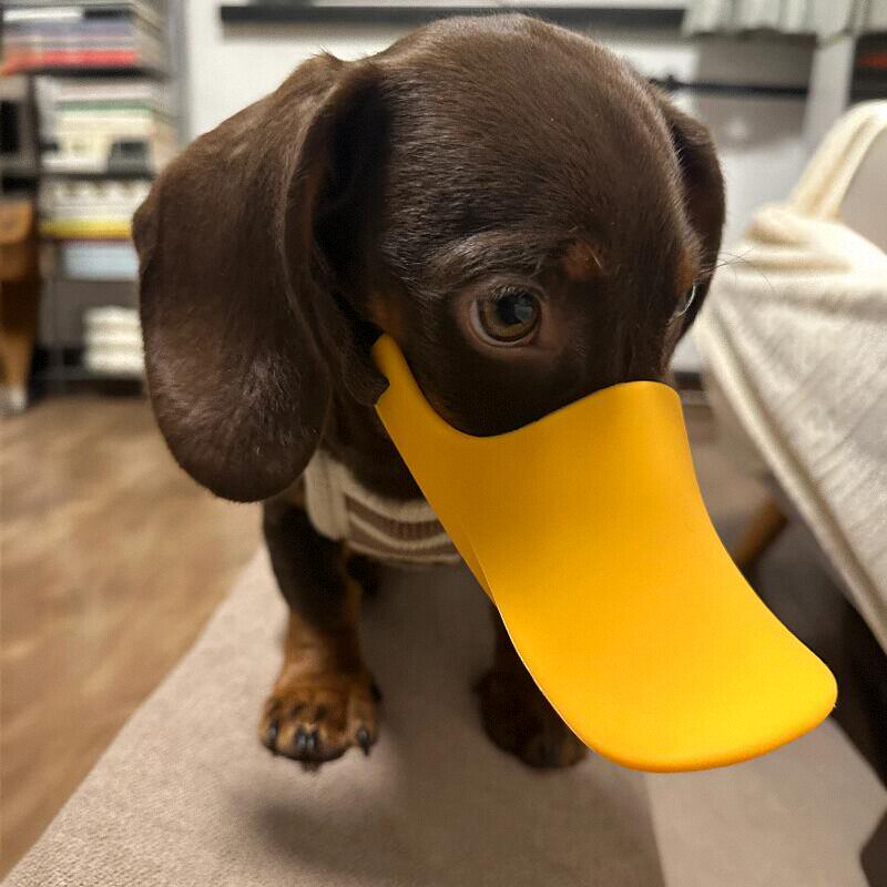 Dog Muzzle Silicone - Hundemaulkorb aus Silikon in Entenform für