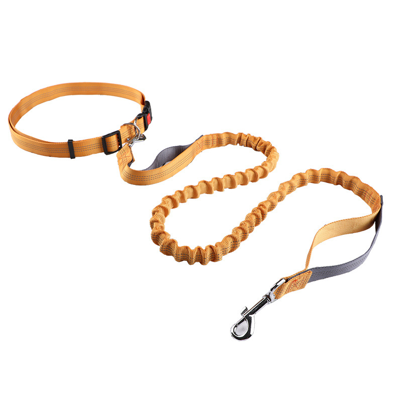 Retractable Dog Leash - Hundeleine, Laufleine, einziehbare Hundeleine, Hundeleine für
