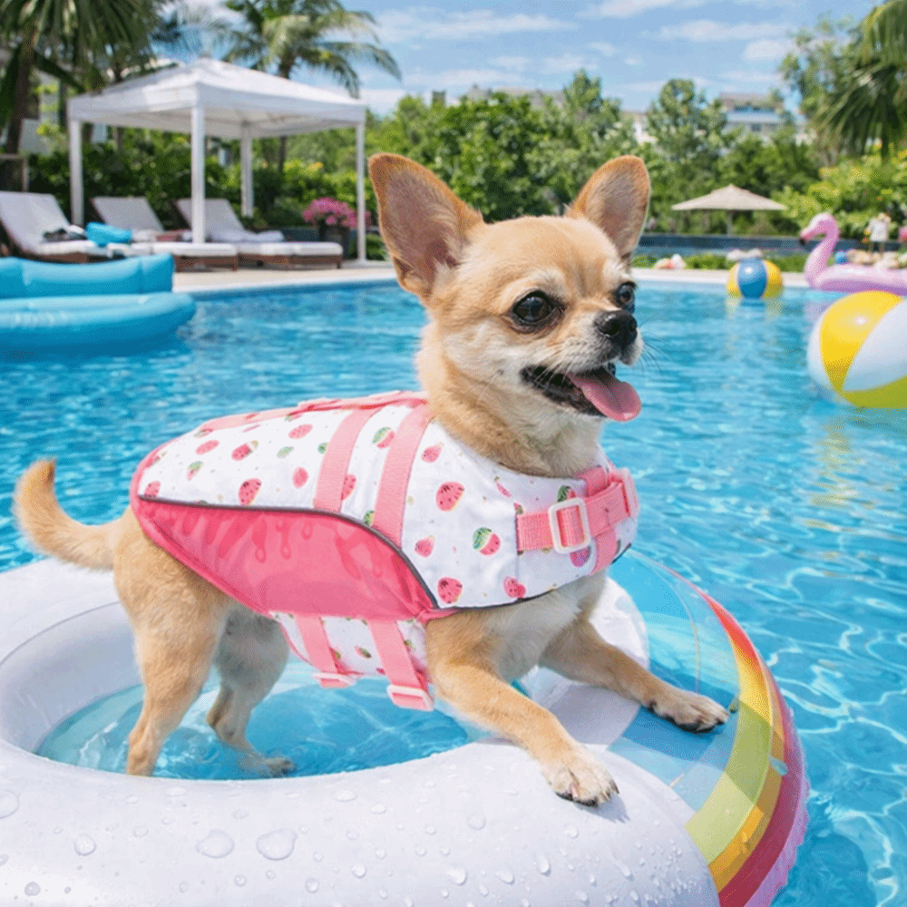 Dog Life Jacket - Verstellbare Hunde-Schwimmweste mit Hoher Auftriebskraft, Wasserdichte