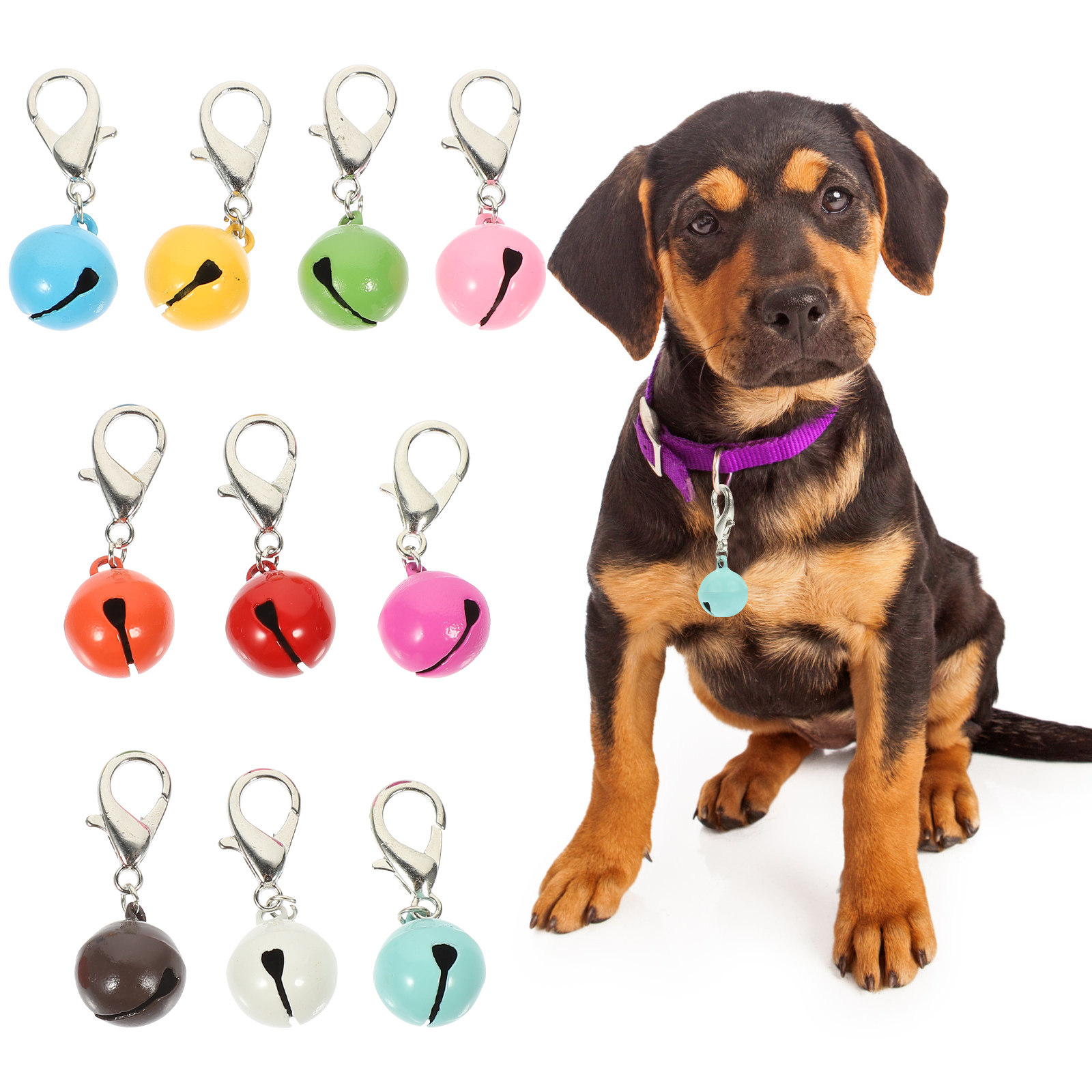 10 Stück Haustier-Halsbandgloc – Pet Supplies Locations Bewertung und Preis