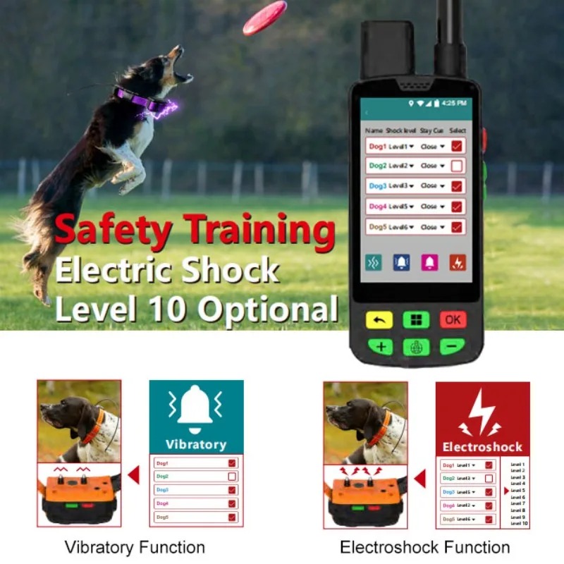 4G GPS-Hundehalsband mit Radio – Pet Supplies Locations Bewertung und Preis