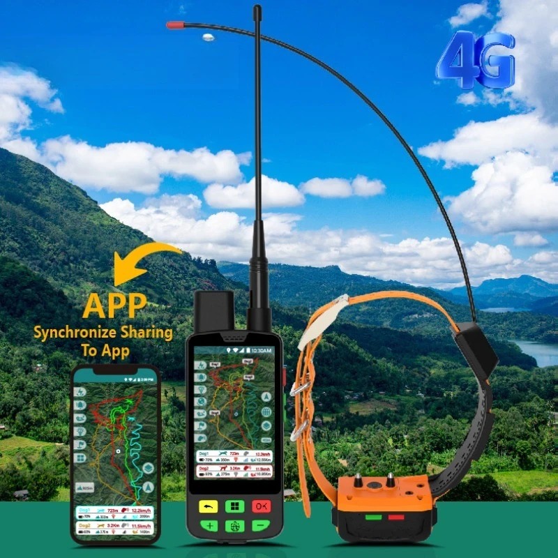 4G GPS-Hundehalsband mit Radio – Pet Supplies Locations Bewertung und Preis