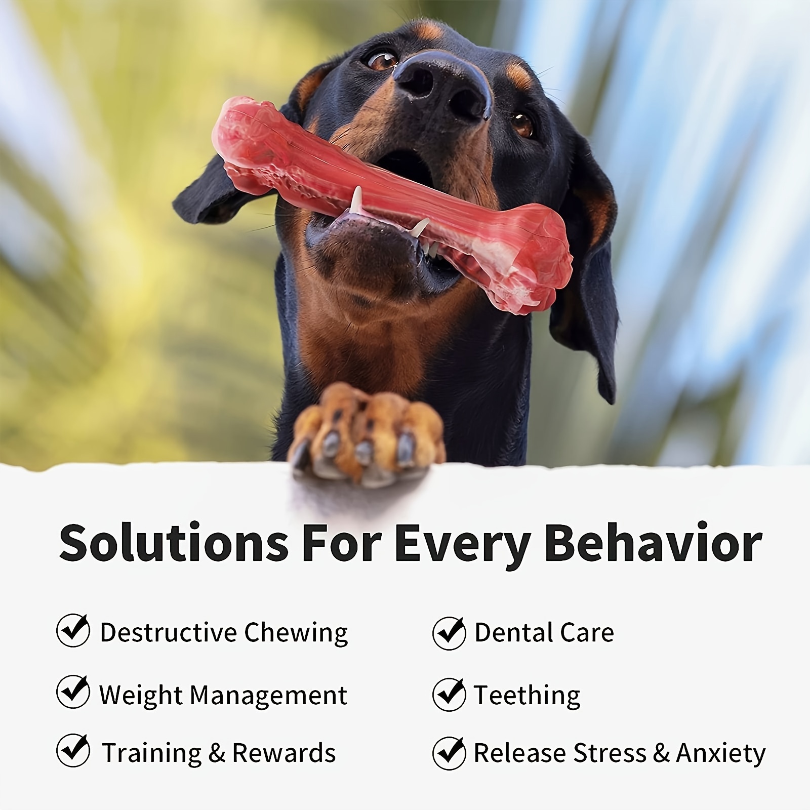 Silikon-Hundespielzeug, Naturk – Dog Muzzle Silicone Bewertung und Preis