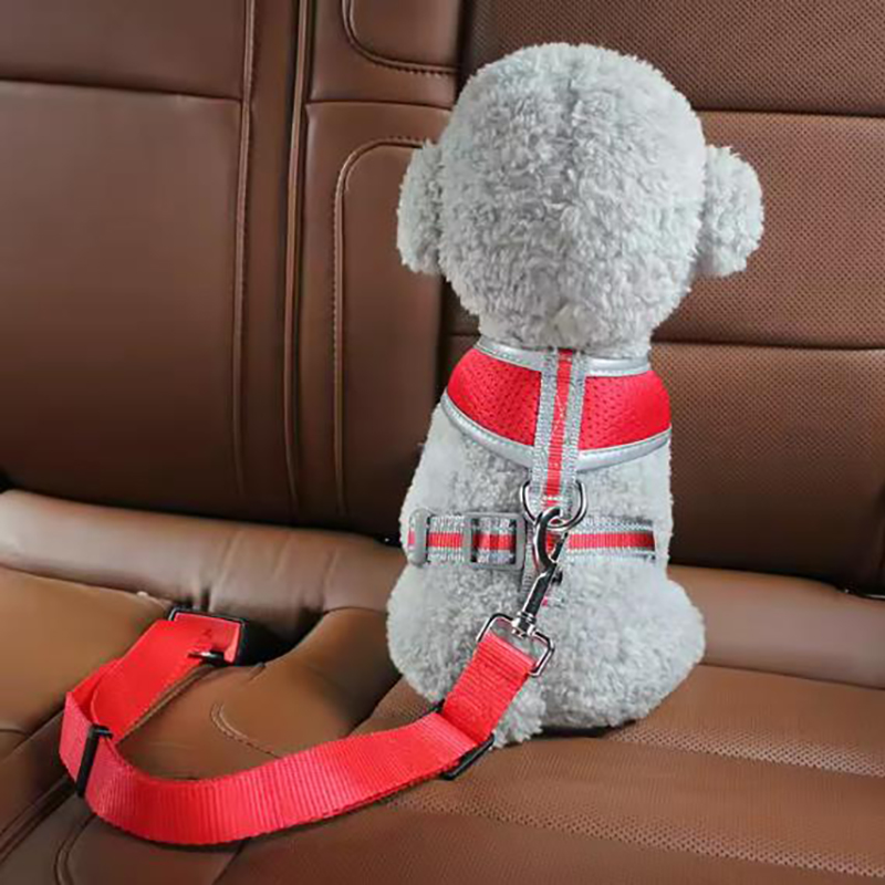 Hund Sicherheitsgurte heißer V – Retractable Dog Leash Bewertung und Preis