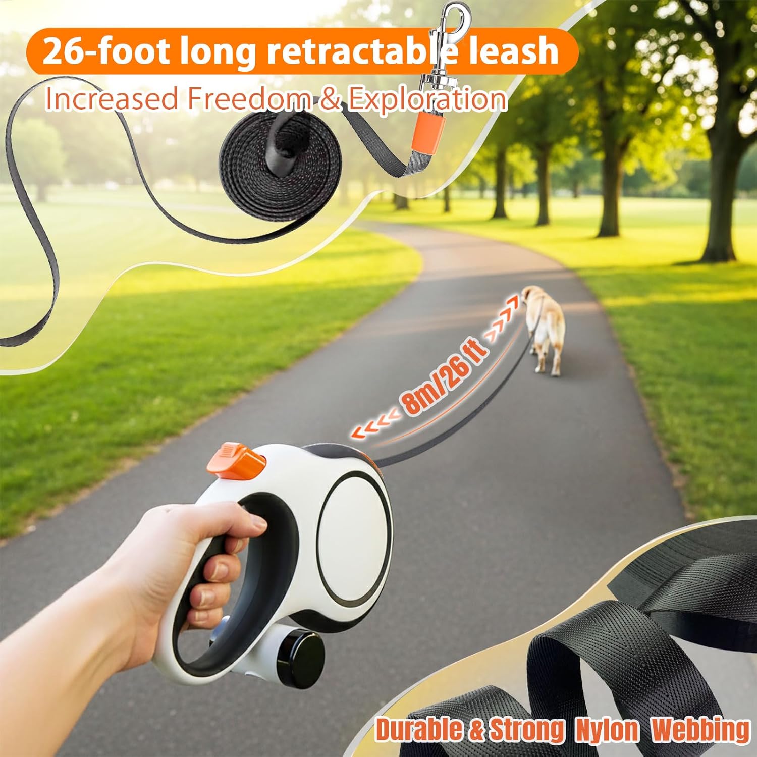 5 m, 8 m, 50 kg Hundeleine, ei – Retractable Dog Leash Bewertung und Preis