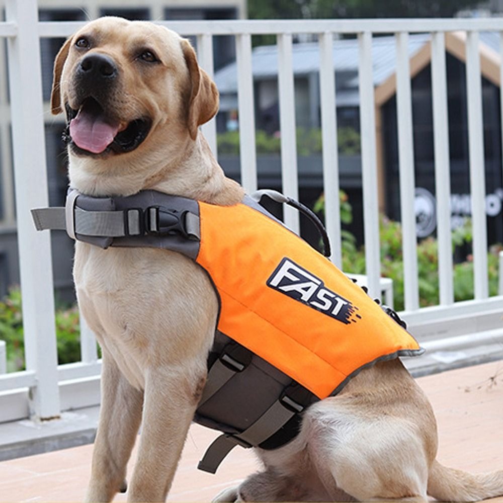 Verstellbare Schwimmweste für  – Dog Life Jacket Bewertung und Preis