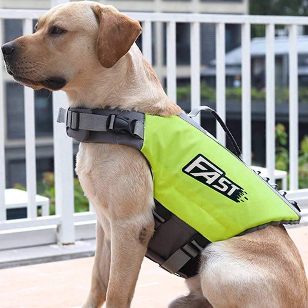 Verstellbare Schwimmweste für  – Dog Life Jacket Bewertung und Preis