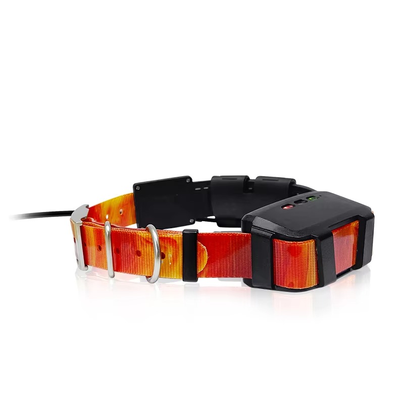 2026 GPS-Tracker-Halsband für  – Pet Supplies Locations Bewertung und Preis