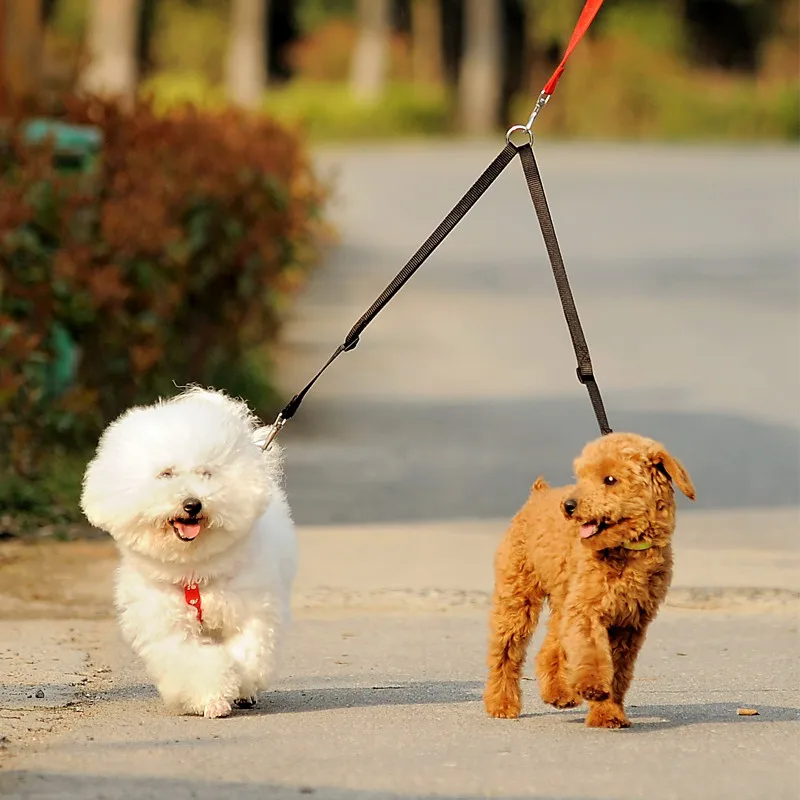 Outdoor Walking Zwei Hunde Lei – Retractable Dog Leash Bewertung und Preis