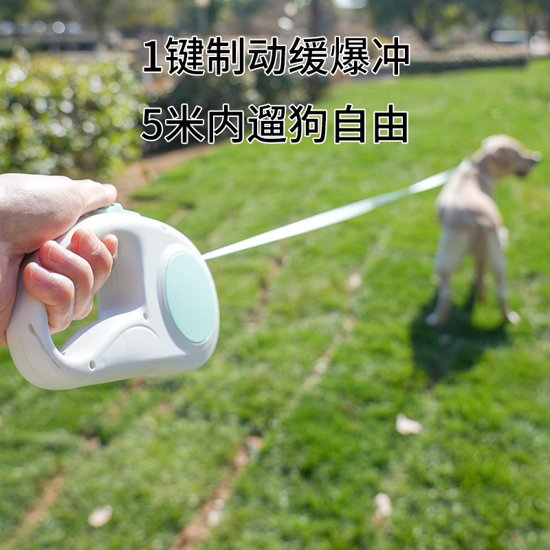 Einziehbare Hundeleine für gro – Retractable Dog Leash Bewertung und Preis