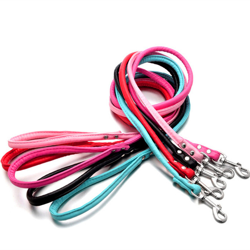 Leine für Haustiere, Katzen, W – Retractable Dog Leash Bewertung und Preis