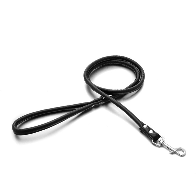 Leine für Haustiere, Katzen, W – Retractable Dog Leash Bewertung und Preis
