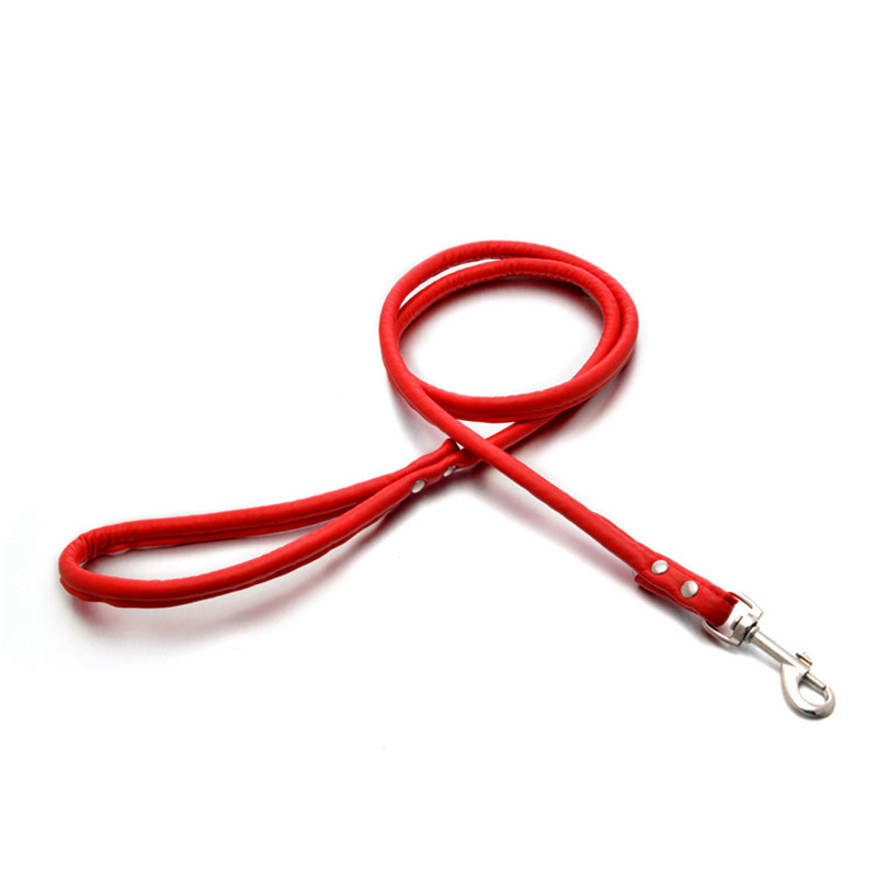 Leine für Haustiere, Katzen, W – Retractable Dog Leash Bewertung und Preis