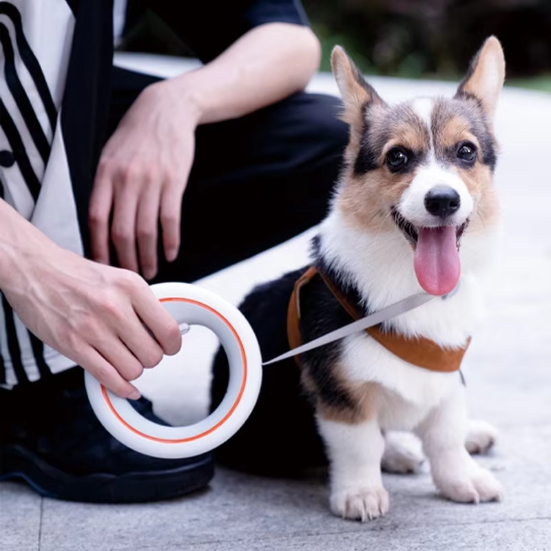 MwStard UFO Nakon Ett Malahξ N – Retractable Dog Leash Bewertung und Preis