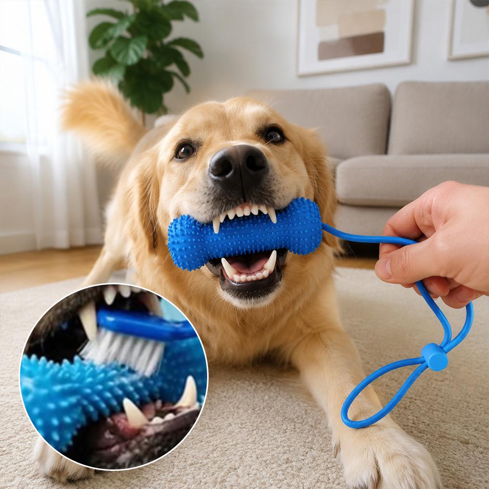 1/2/4 Weicher Silikon-Zahnbürs – Dog Muzzle Silicone Bewertung und Preis