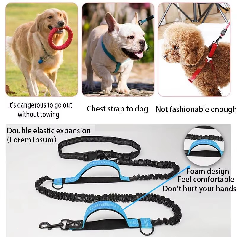 Doppelt Elastische Reflektiere – Retractable Dog Leash Bewertung und Preis