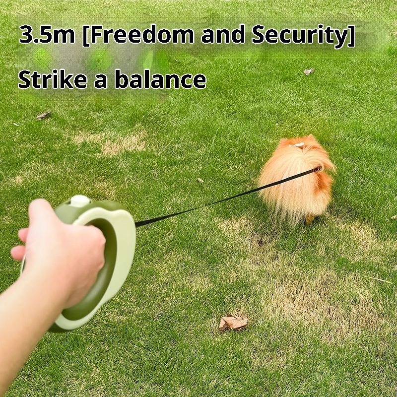   3,5 Meter Einziehbare Hundel – Retractable Dog Leash Bewertung und Preis