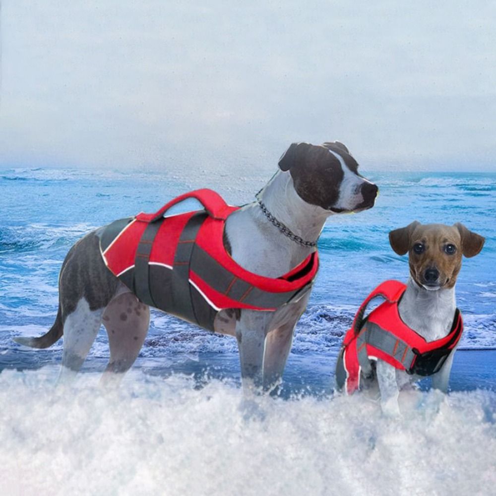 Reflektierende Hunde-Schwimmwe – Dog Life Jacket Bewertung und Preis