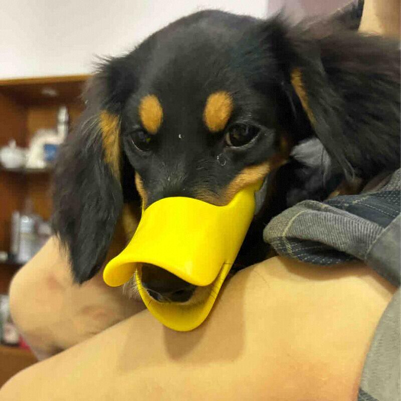 Hundemaulkorb aus Silikon in E – Dog Muzzle Silicone Bewertung und Preis