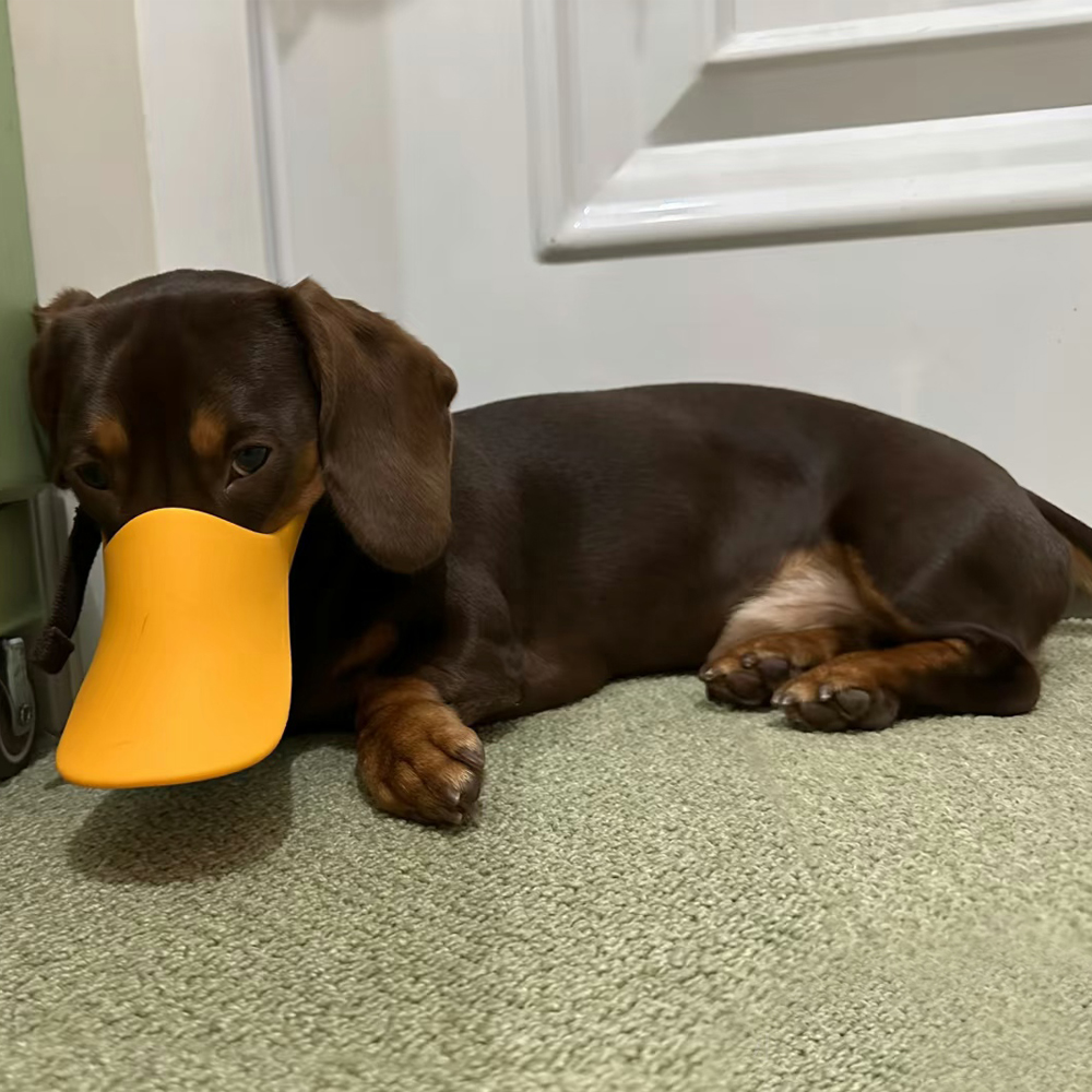 Hundemaulkorb aus Silikon in E – Dog Muzzle Silicone Bewertung und Preis