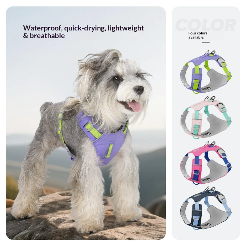 Neues Leichtgewichtiges Hundeg – Pet Supplies Locations Bewertung und Preis