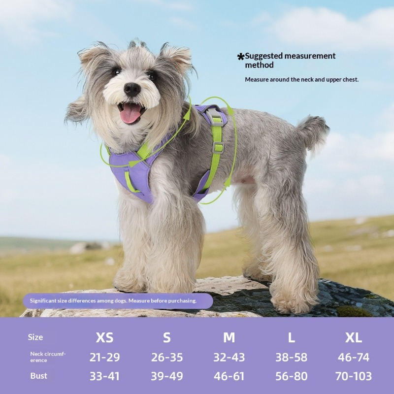 Neues Leichtgewichtiges Hundeg – Pet Supplies Locations Bewertung und Preis