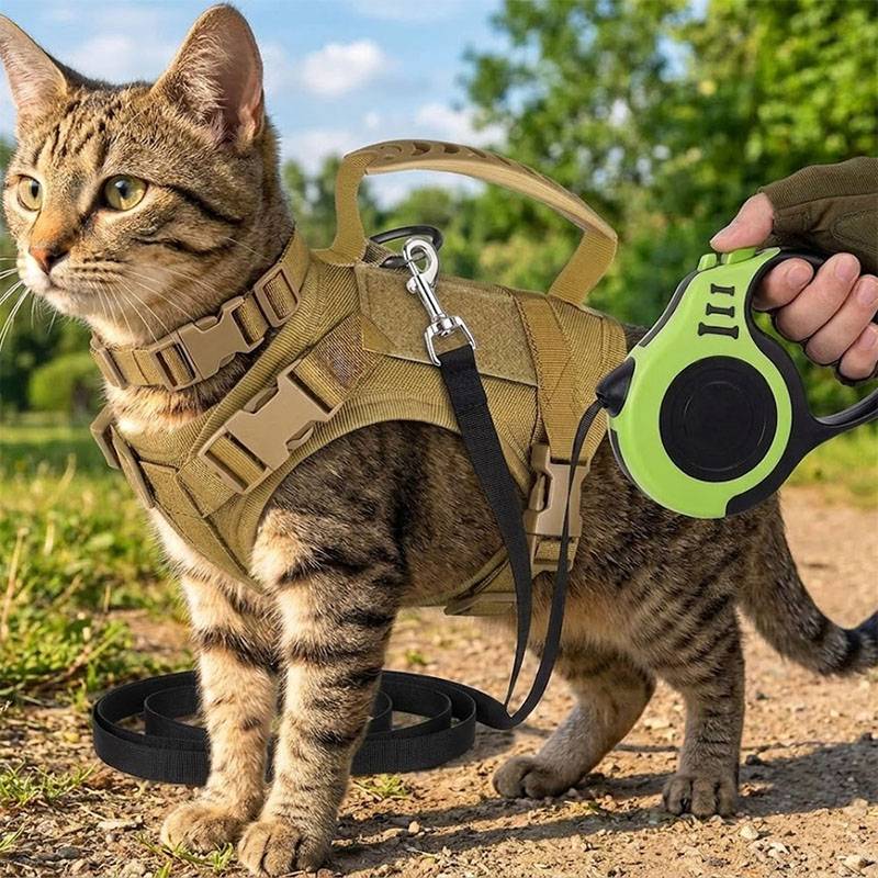 Atmungsaktives Taktisches Haus – Retractable Dog Leash Bewertung und Preis