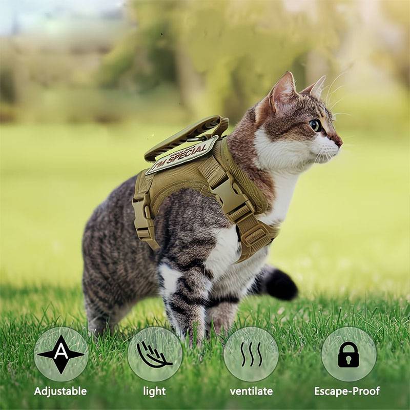 Atmungsaktives Taktisches Haus – Retractable Dog Leash Bewertung und Preis