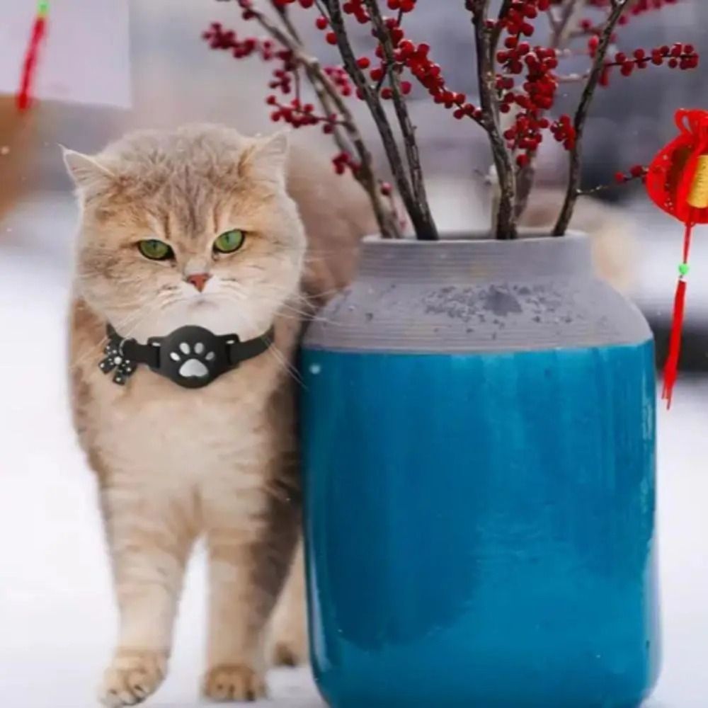 NEUES Nacht-Sichtbares Reflekt – Pet Supplies Locations Bewertung und Preis