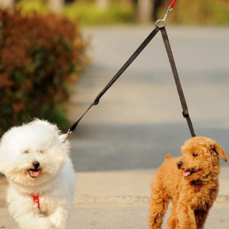 1pc Doppel Doppel Doppel kuppl – Retractable Dog Leash Bewertung und Preis