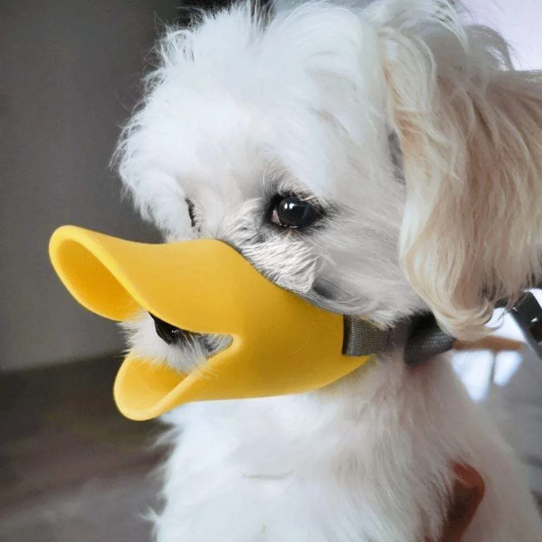 Hund Silikon Ente Schnauze für – Dog Muzzle Silicone Bewertung und Preis