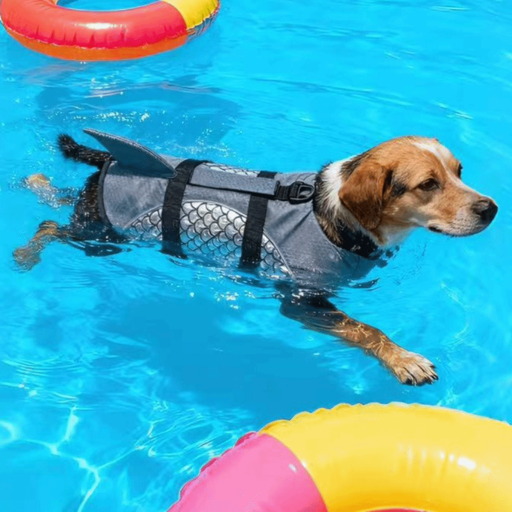 Hundeschwimmweste mit starkem  – Dog Life Jacket Bewertung und Preis