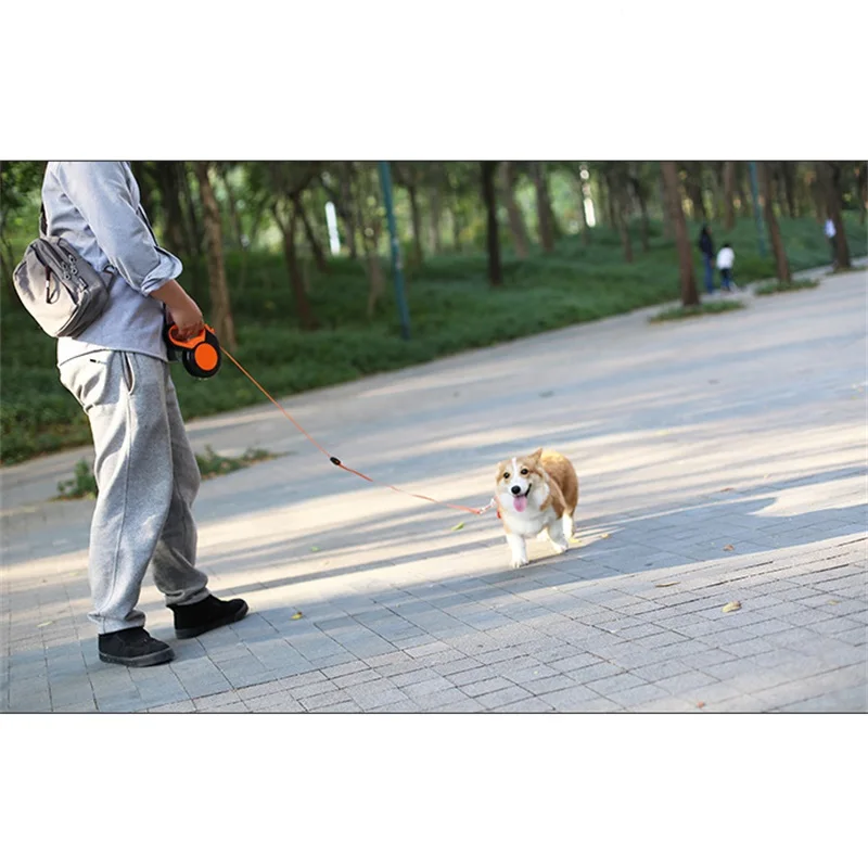 3M/5M/8M einziehbare Hundelein – Retractable Dog Leash Bewertung und Preis