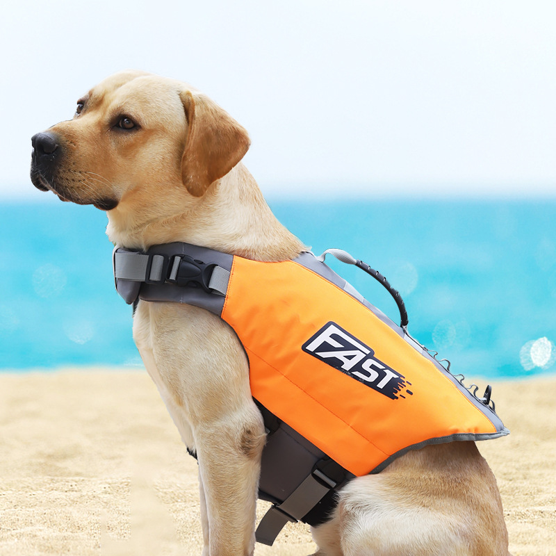Hunde-Schwimmweste: Modische,  – Dog Life Jacket Bewertung und Preis