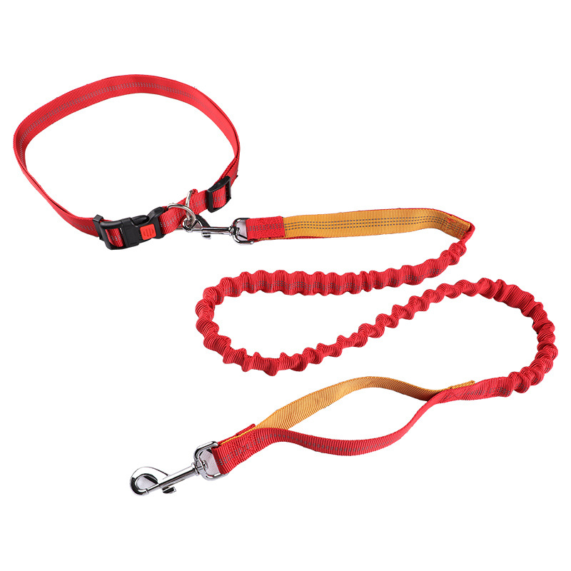Hundeleine, Laufleine, einzieh – Retractable Dog Leash Bewertung und Preis