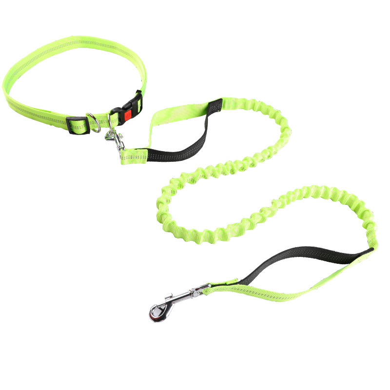 Hundeleine, Laufleine, einzieh – Retractable Dog Leash Bewertung und Preis