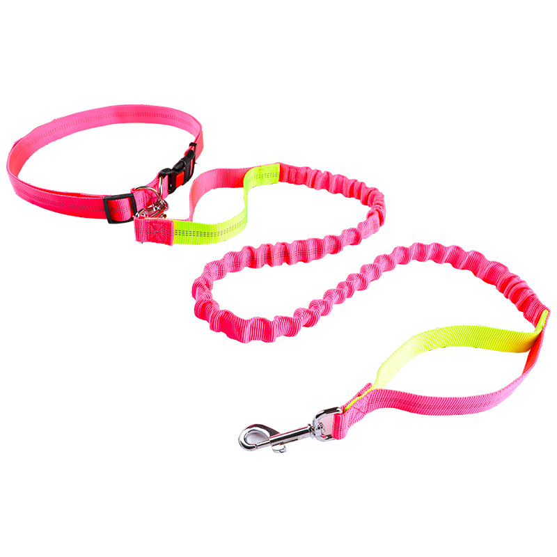 Hundeleine, Laufleine, einzieh – Retractable Dog Leash Bewertung und Preis