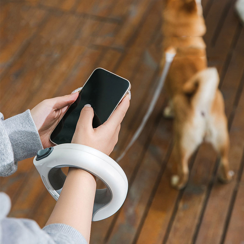 LED-Haustier-Einziehleine Trag – Retractable Dog Leash Bewertung und Preis