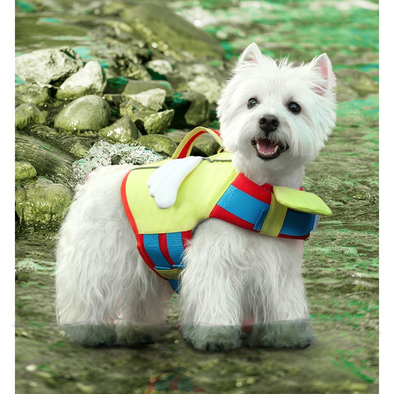 Hund Sommer Schwimmweste Pool  – Dog Life Jacket Bewertung und Preis