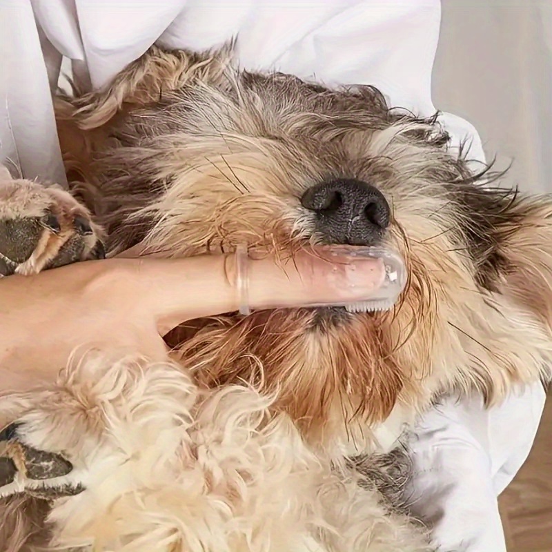 5 Haustier-Finger-Zahnbürsten  – Dog Muzzle Silicone Bewertung und Preis