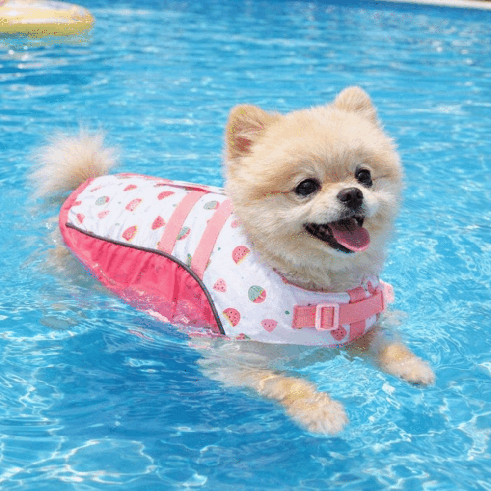 Verstellbare Hunde-Schwimmwest – Dog Life Jacket Bewertung und Preis