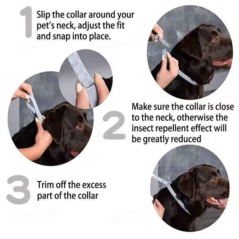 Hundehalsbänder für Welpen und – Dog Muzzle Silicone Bewertung und Preis