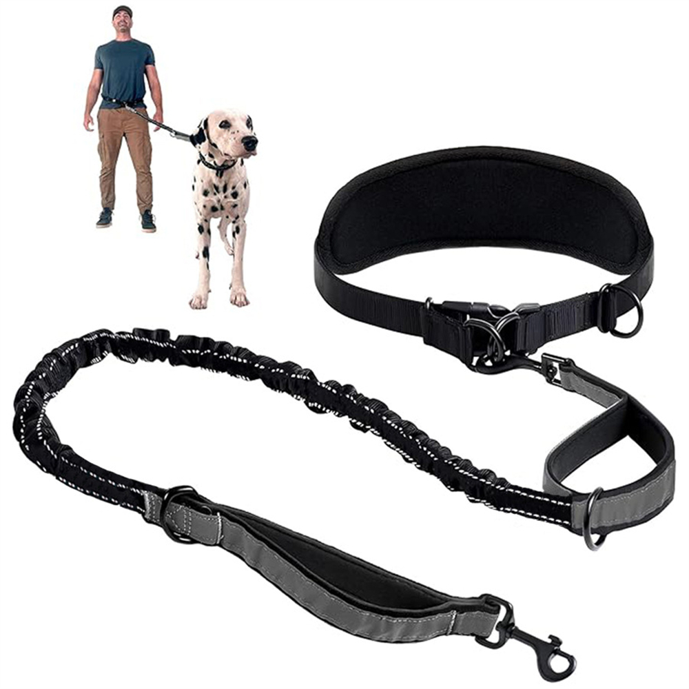 Freihändige Hundeleine, Hunde- – Retractable Dog Leash Bewertung und Preis