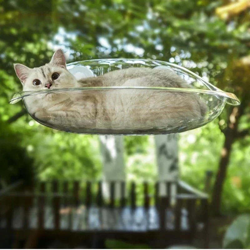Fensterbett für Katzen, Kätzch – Pet Supplies Delivery Bewertung und Preis