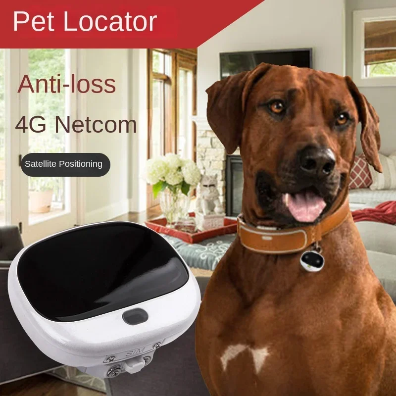 Mini 4G LTE 2G GSM Hunde-GPS-O – Pet Supplies Locations Bewertung und Preis